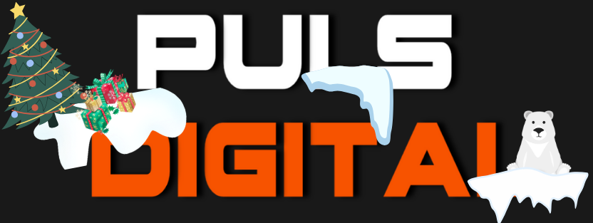 Pulsdigital.net