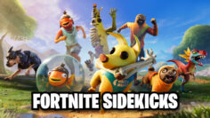 Sidekickfortine
